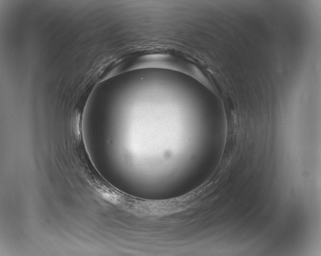 X0000079290041200611171103