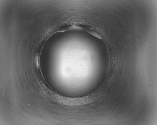 X0000079290042200611171102