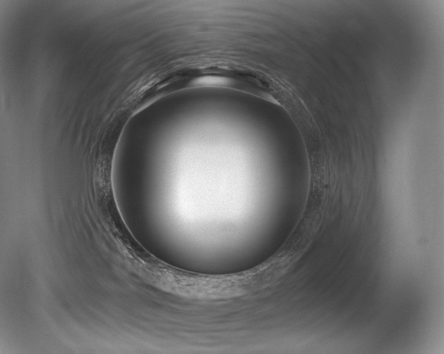 X0000079290044200611171102