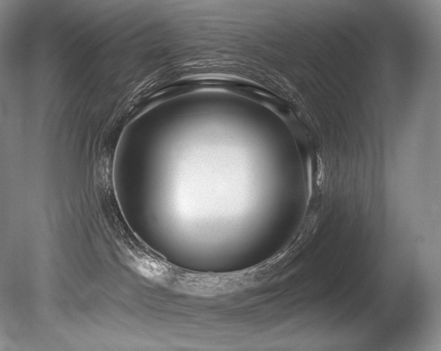 X0000079290045200611171102