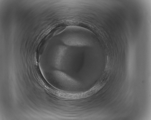 X0000079290048200611171102