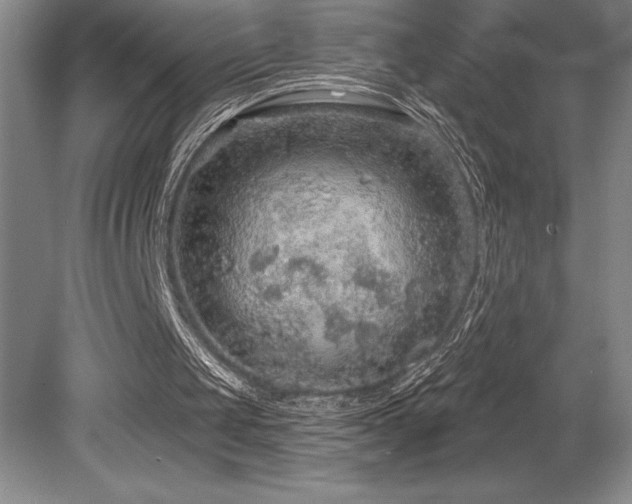 X0000079290049200611171102