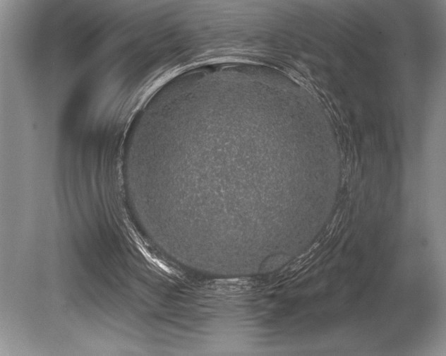 X0000079290050200611171102