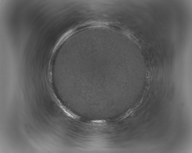 X0000079290053200611171102