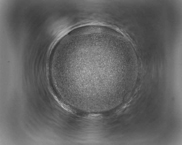 X0000079290055200611171102
