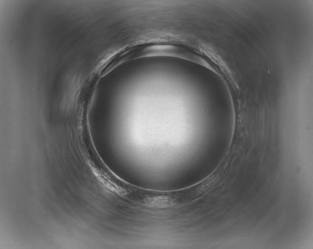 X0000079290058200611171102