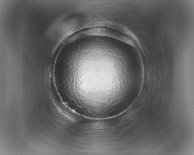 X0000079290059200611171102