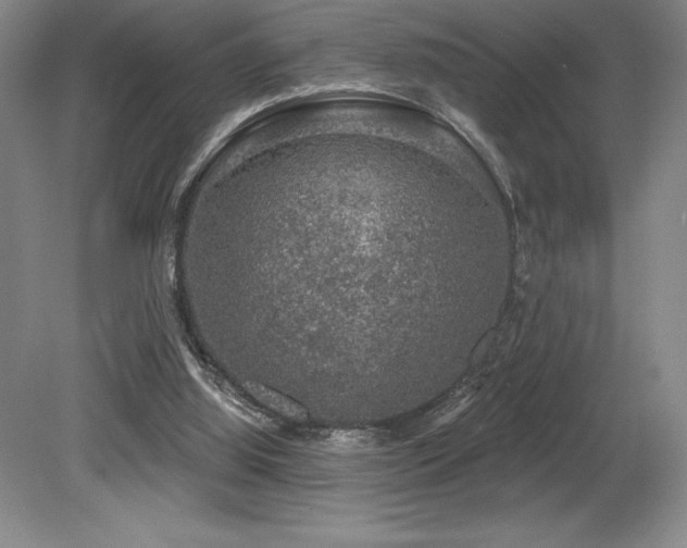 X0000079290060200611171102