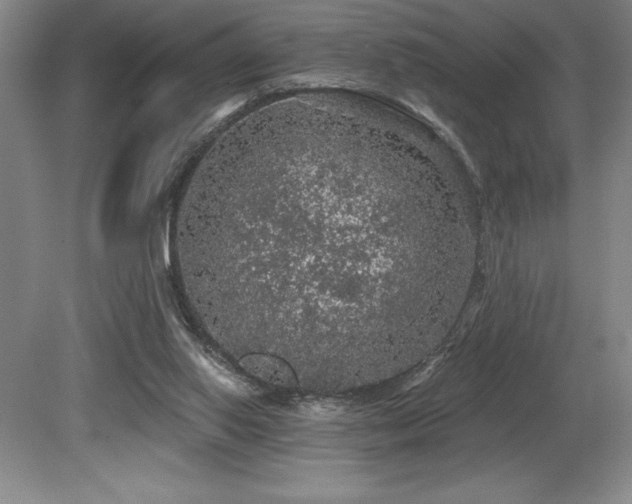 X0000079290062200611171102