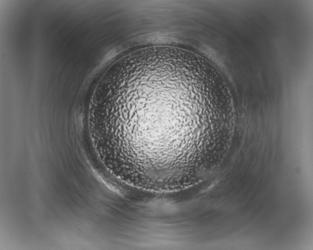 X0000079290063200611171102