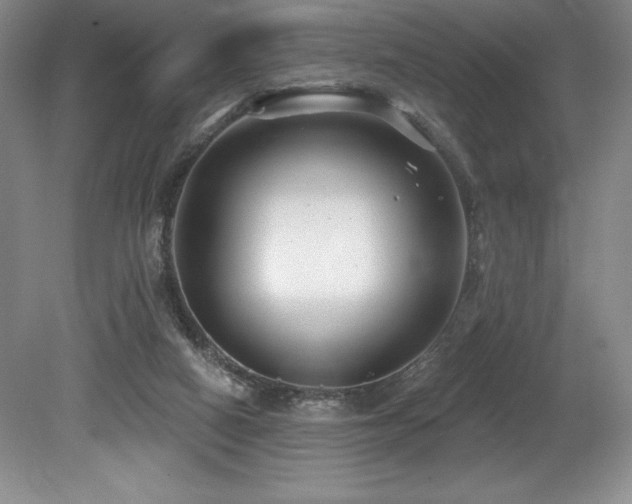 X0000079290066200611171102
