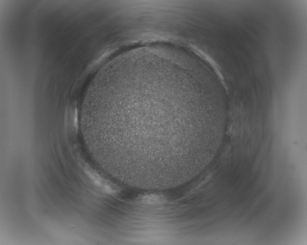 X0000079290067200611171102