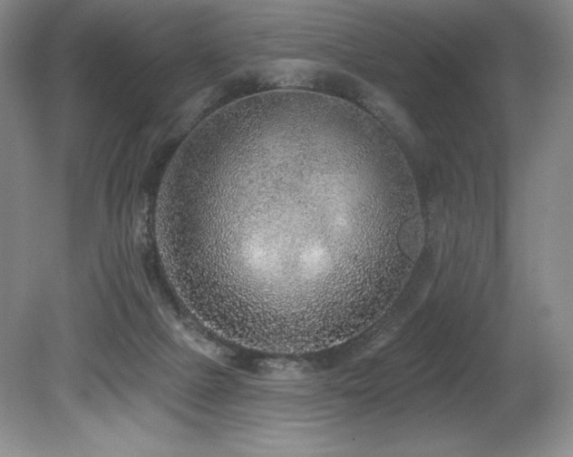 X0000079290073200611171102