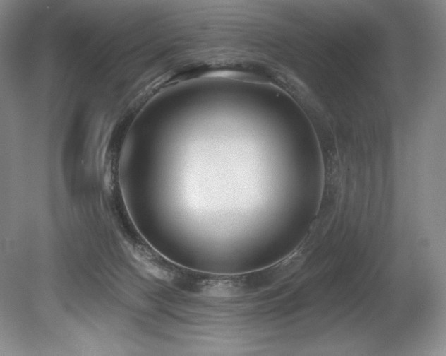 X0000079290074200611171102