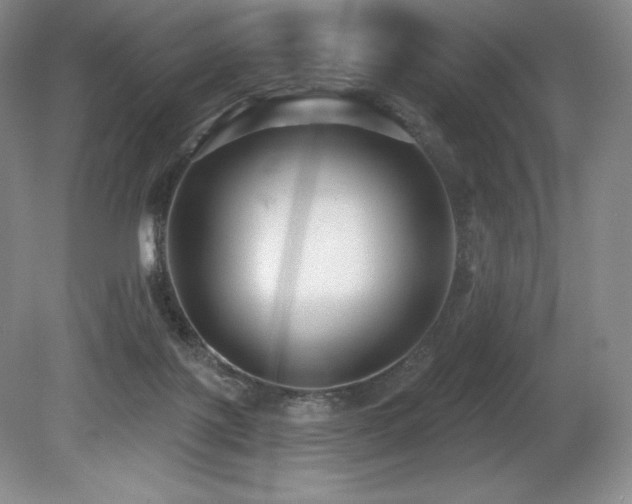 X0000079290075200611171102