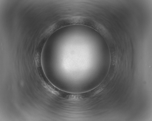X0000079290077200611171102