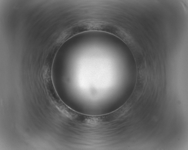 X0000079290079200611171102