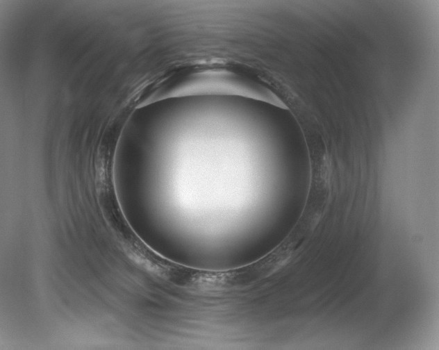 X0000079290084200611171102