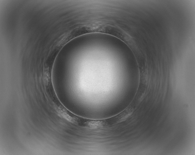 X0000079290085200611171102