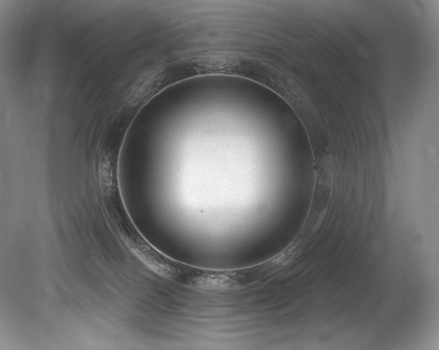 X0000079290086200611171102
