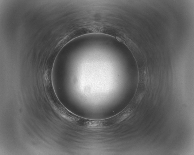 X0000079290088200611171102