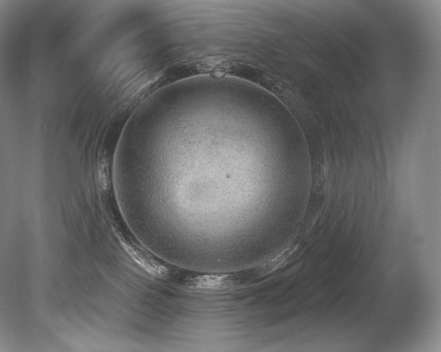 X0000079290090200611171102