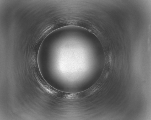 X0000079290092200611171102