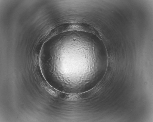 X0000079290093200611171102