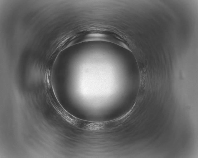 X0000079290094200611171102