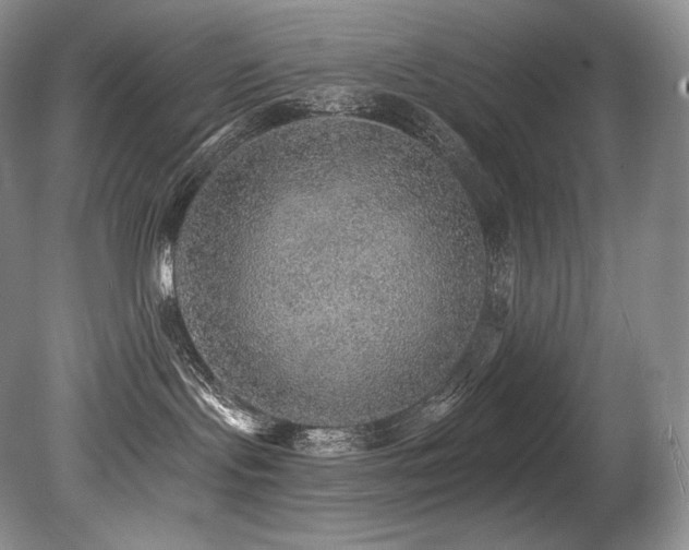 X0000079290095200611171102