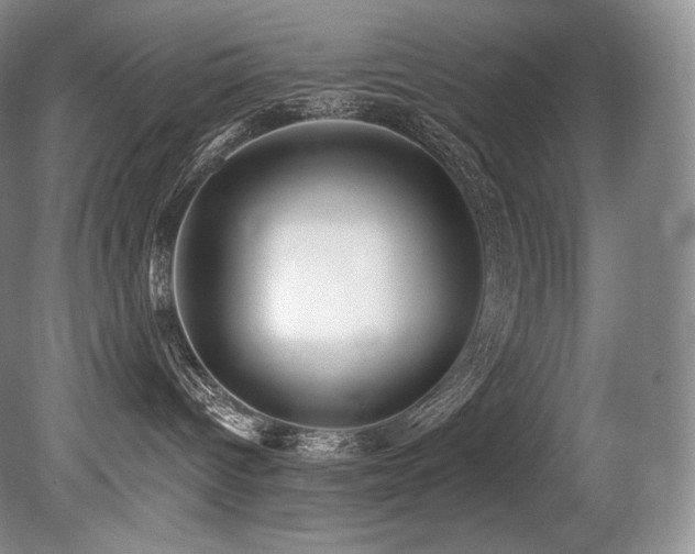 X0000079290096200611171102