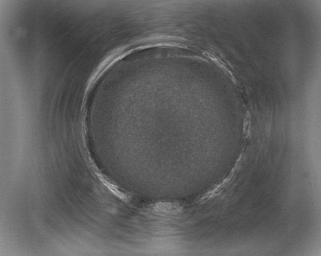 X0000079290101200611171101