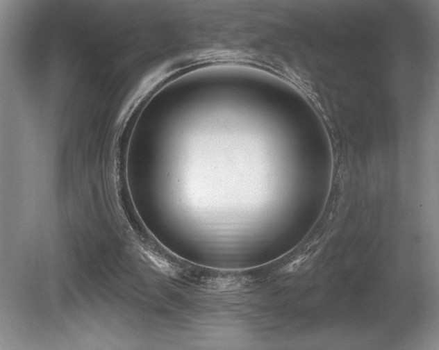 X0000079290103200611171101