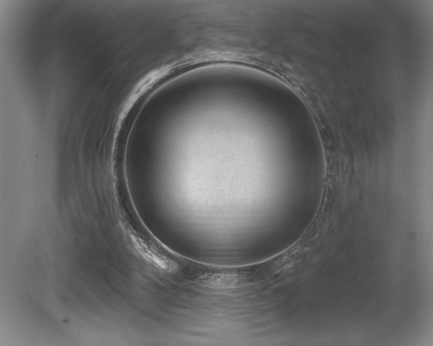 X0000079290104200611171101