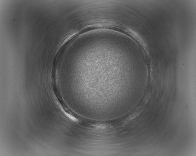 X0000079290105200611171101