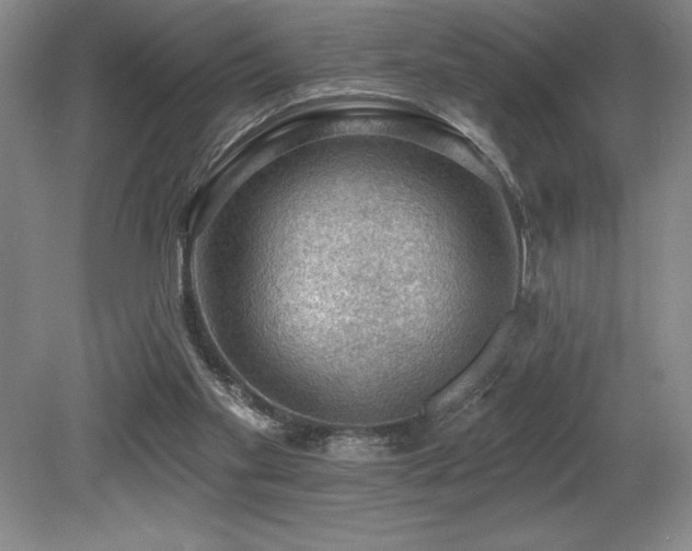 X0000079290109200611171101