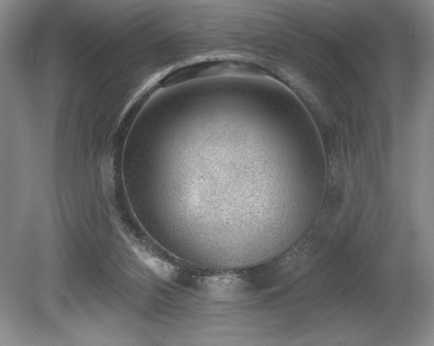 X0000079290112200611171101
