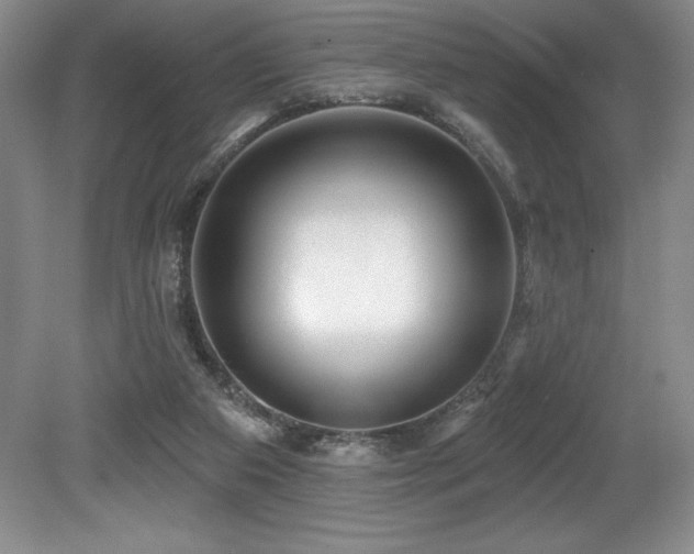 X0000079290113200611171101