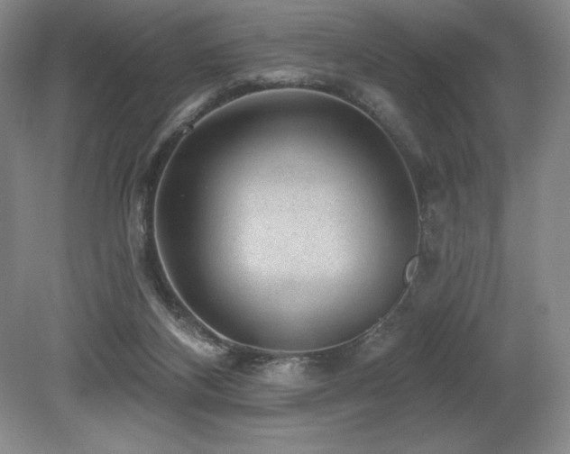 X0000079290116200611171101