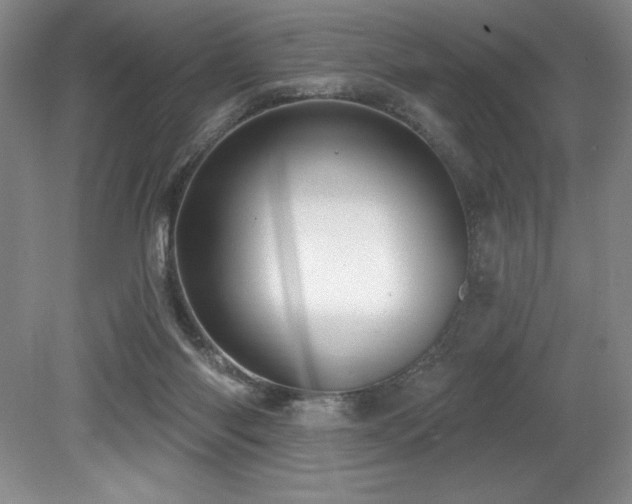 X0000079290118200611171101