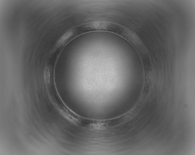 X0000079290120200611171101