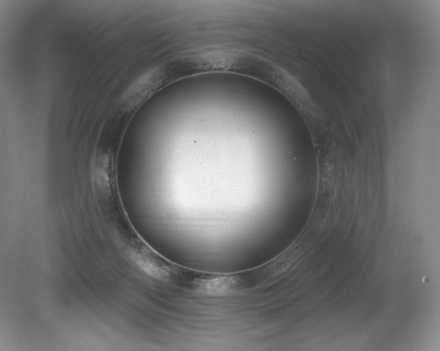 X0000079290122200611171101