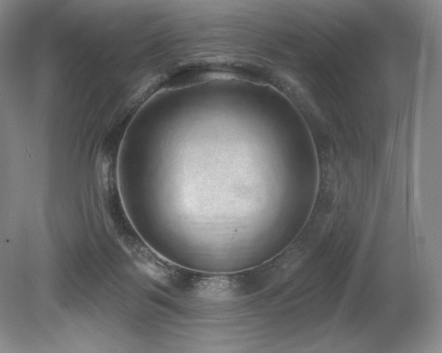 X0000079290123200611171101
