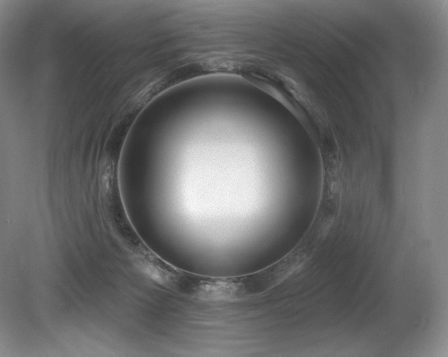 X0000079290125200611171101