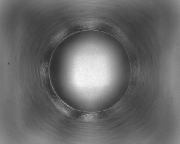 X0000079290126200611171101