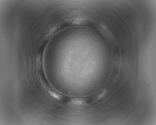 X0000079290127200611171101