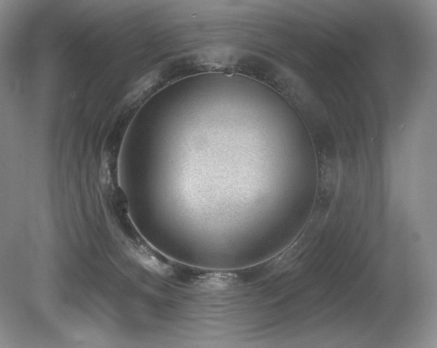 X0000079290128200611171101