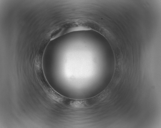 X0000079290129200611171101