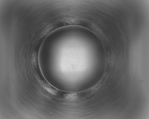 X0000079290132200611171101