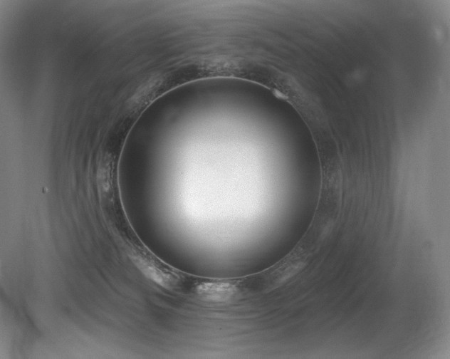 X0000079290133200611171101